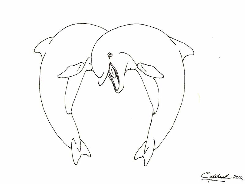 The dolphins are supposed to be making the shape of a heart although I